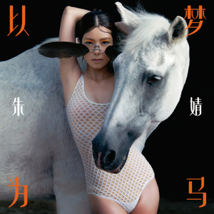 成人片在线网站视频
