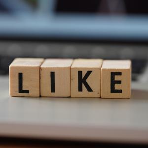 成人片在线网站视频
