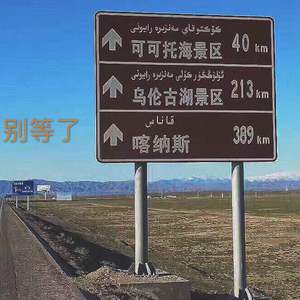 成人片在线网站视频
