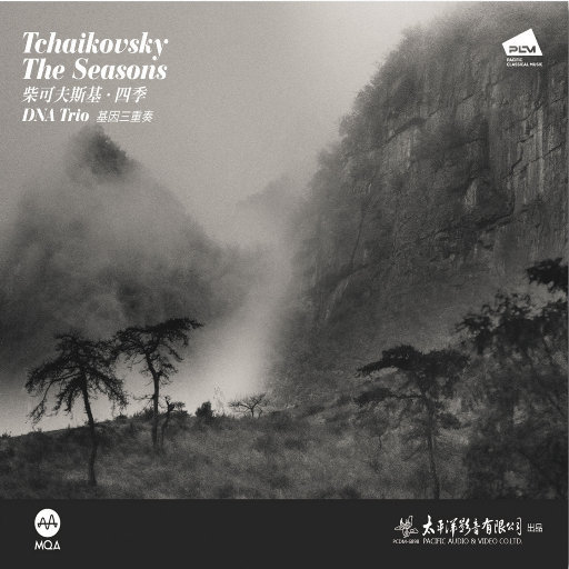 成人片在线网站视频
