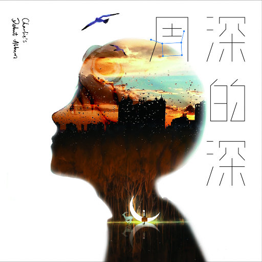 成人片在线网站视频
